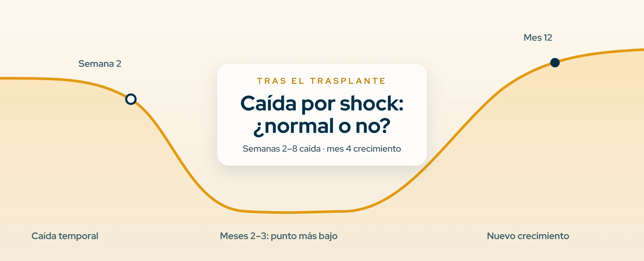 Caída por shock tras un trasplante capilar (2026)