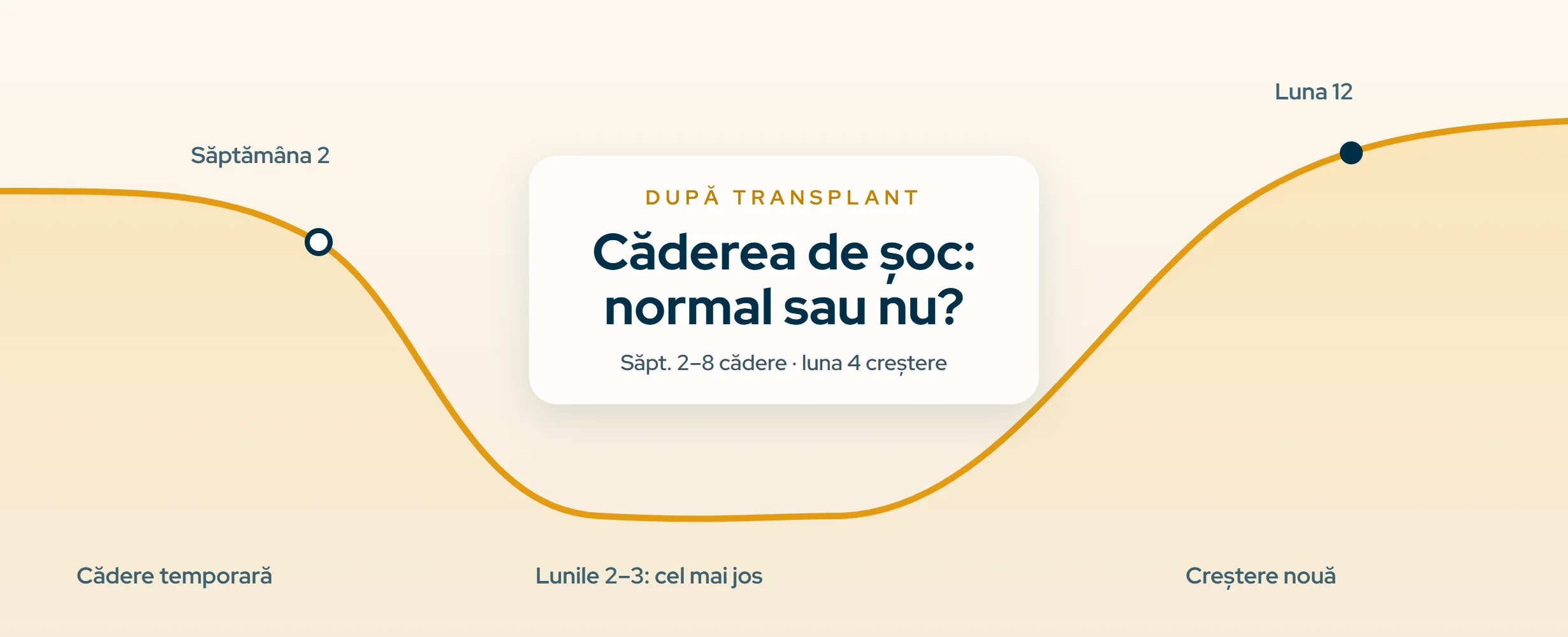 Căderea de șoc după transplantul de păr (2026)