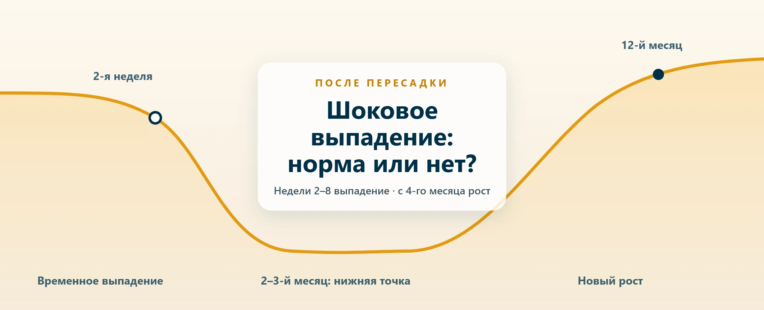 Шоковое выпадение после пересадки волос (2026)