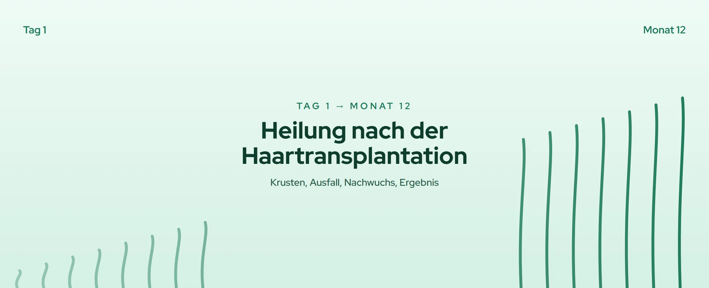 Heilung nach Haartransplantation: Tag 1 bis Monat 12 (2026)