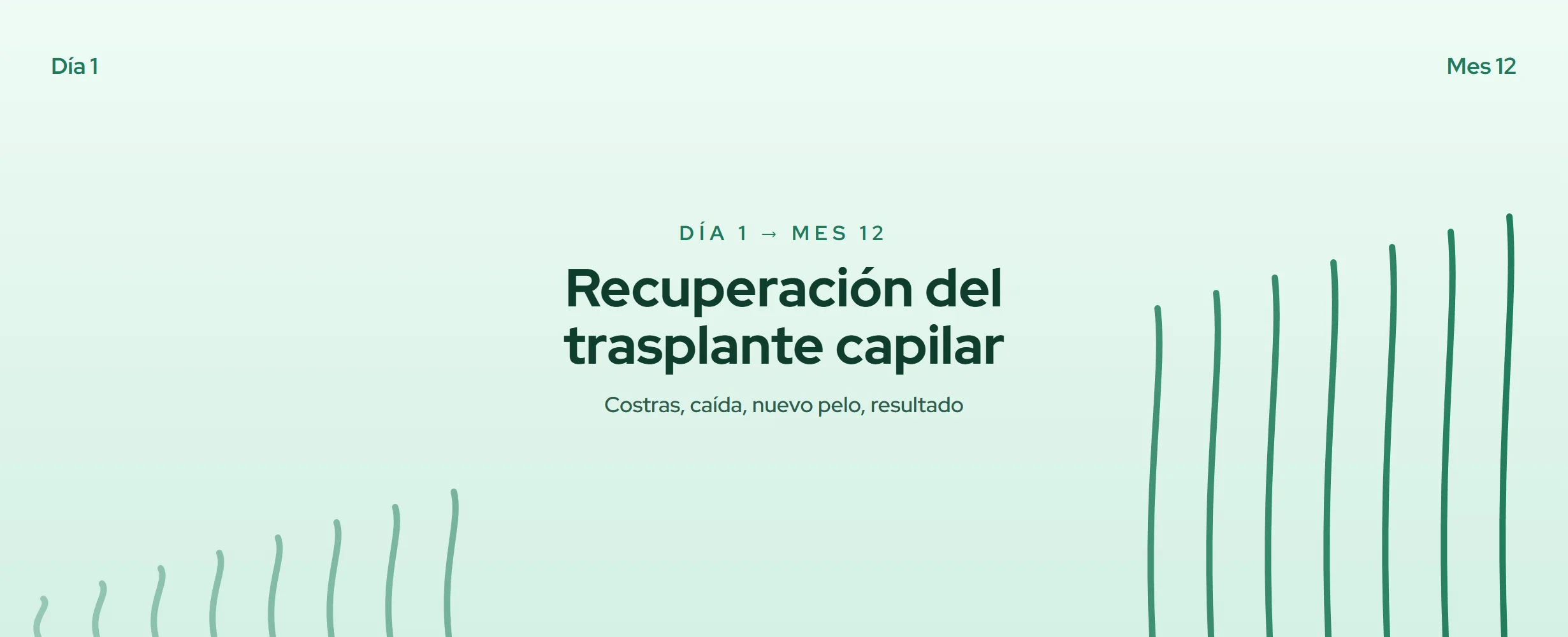 Recuperación del trasplante capilar: día 1 al mes 12 (2026)