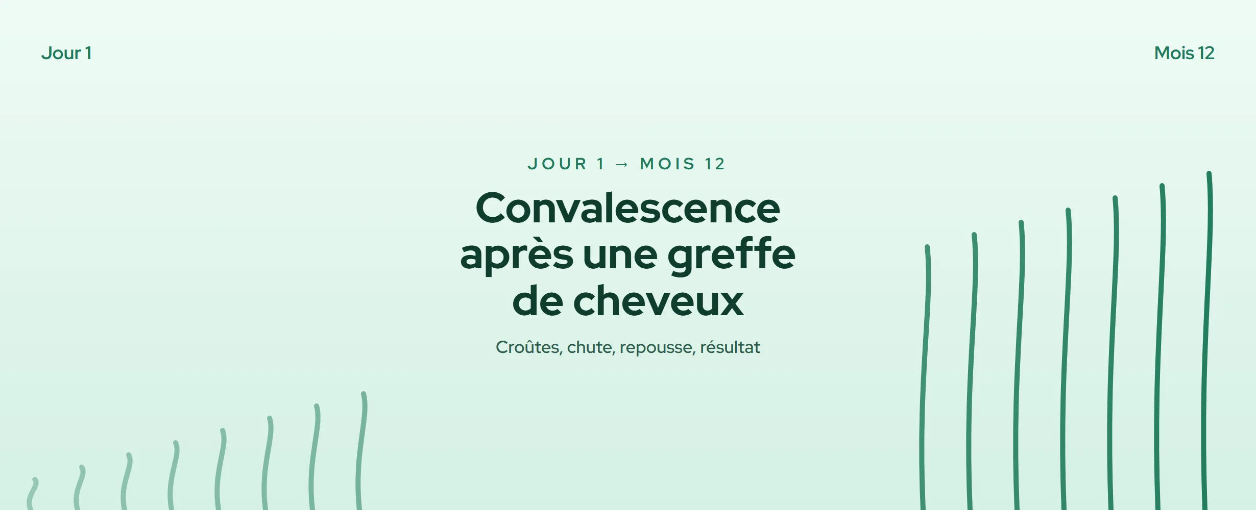 Greffe de cheveux : la convalescence jour par jour (2026)