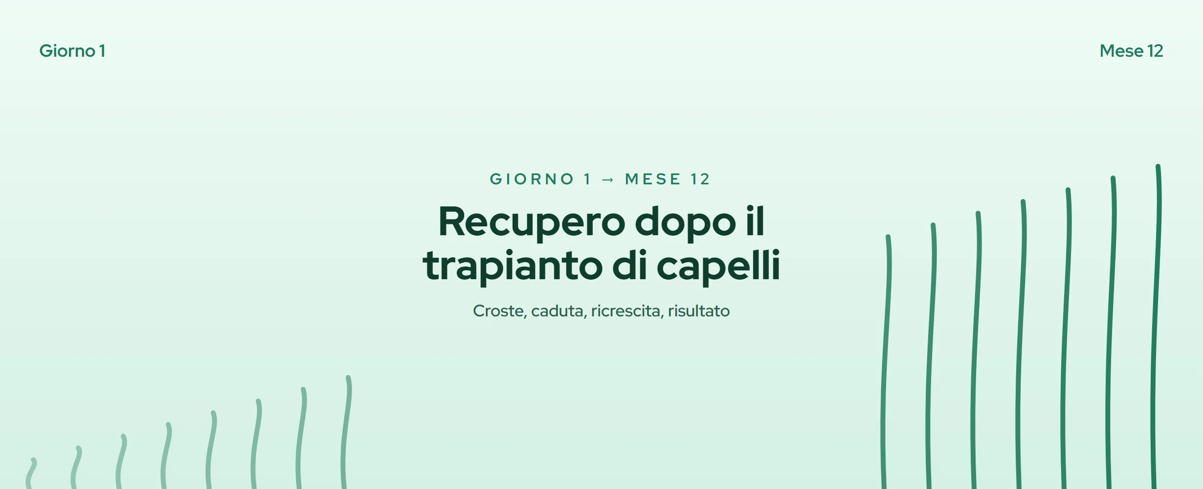 Recupero trapianto capelli: dal giorno 1 al mese 12 (2026)