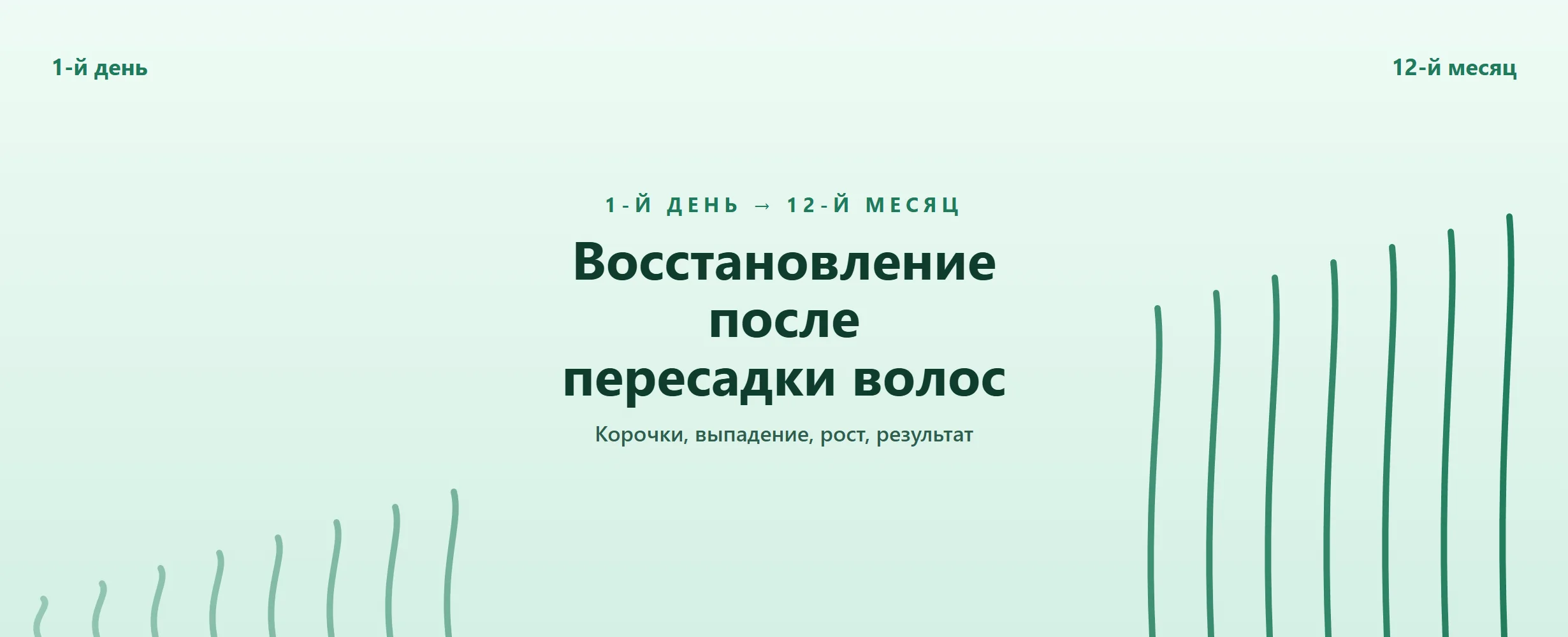 Пересадка волос: восстановление по дням и месяцам (2026)