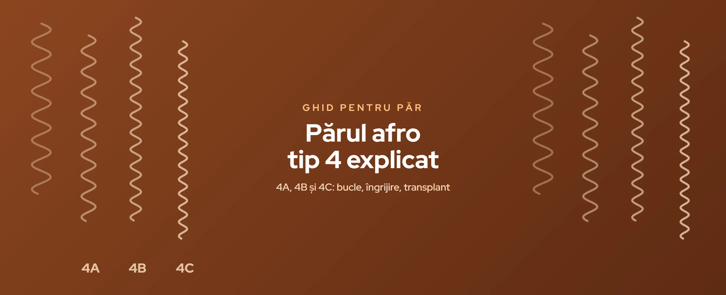 Părul Afro Tip 4 Explicat: Ghid pentru Părul 4A, 4B și 4C