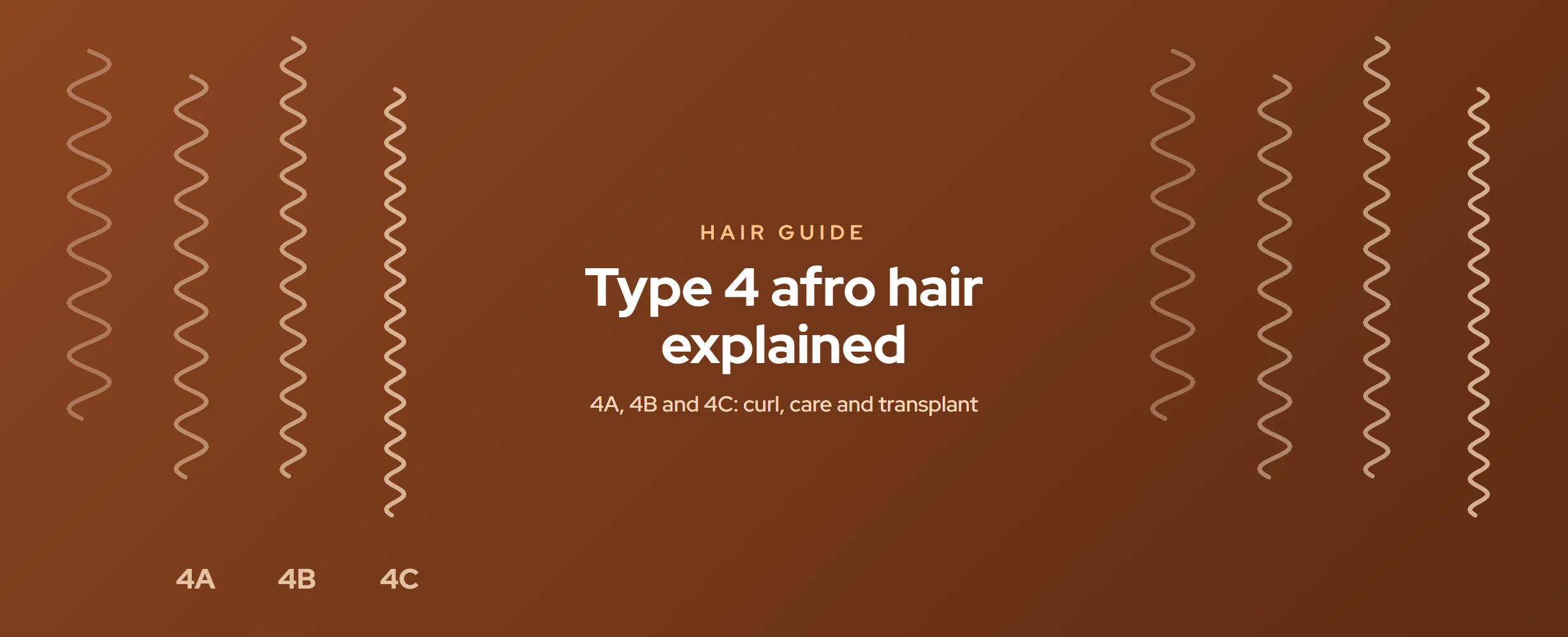 Type 4 Afro Hair Explained: 4A, 4B, and 4C Hair Guide