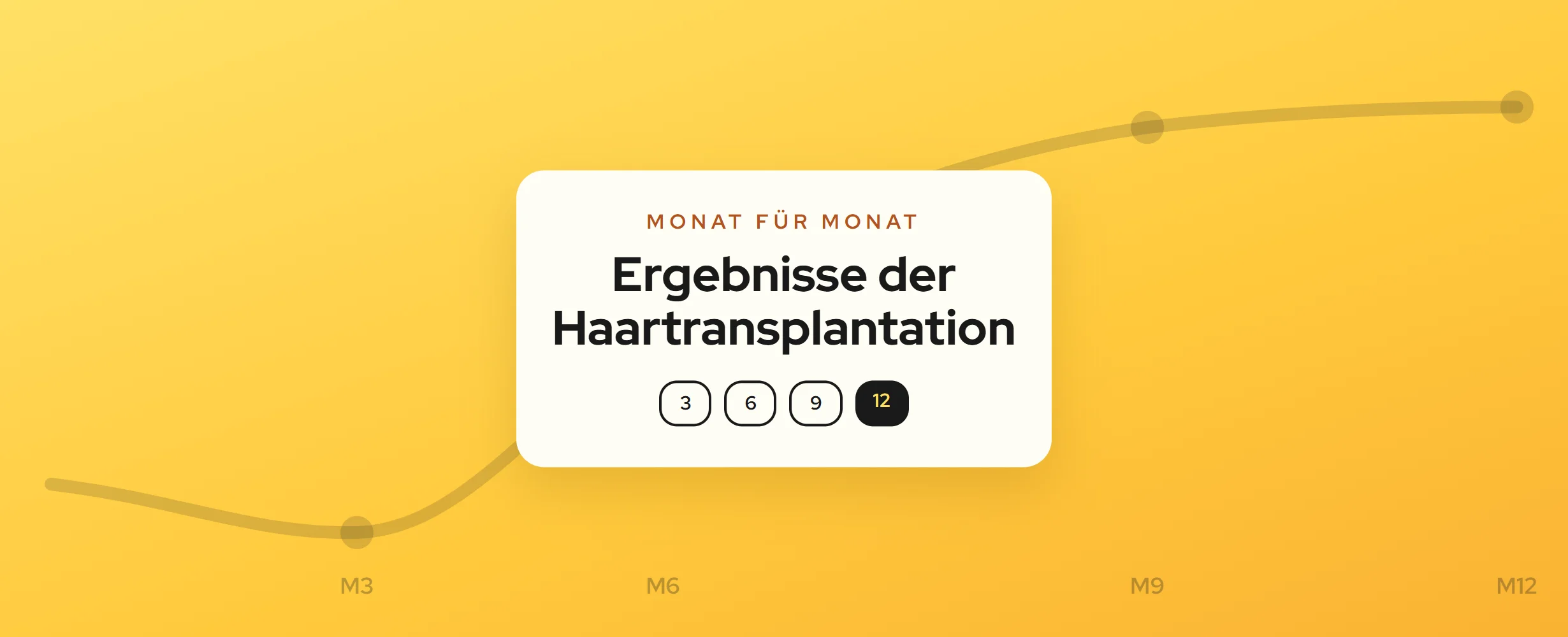 Haartransplantation: Ergebnisse Monat für Monat (2026)