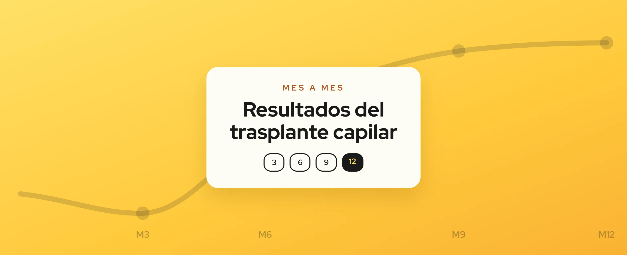 Resultados del trasplante capilar mes a mes (2026)
