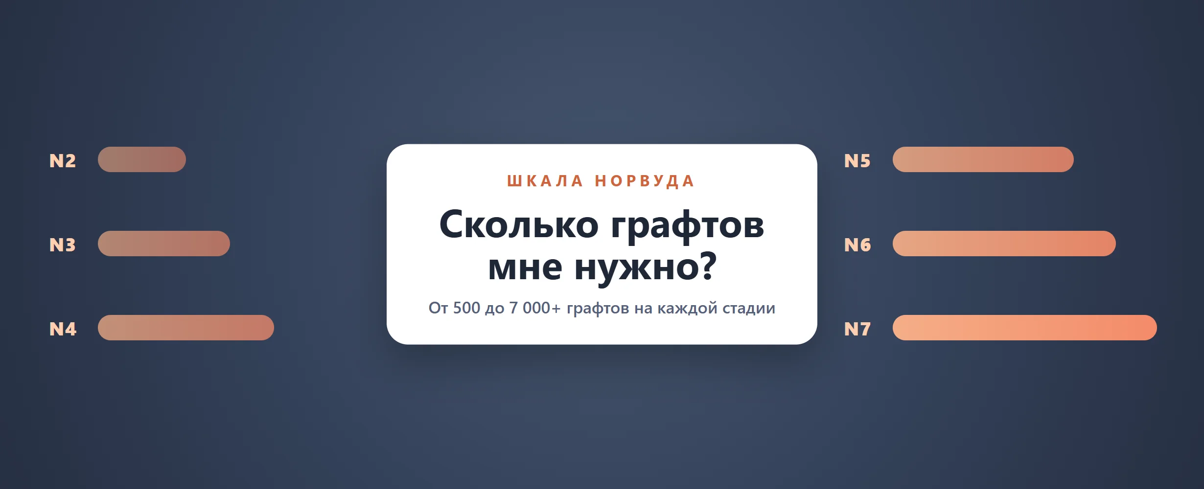 Сколько графтов нужно? Шкала Норвуда и цены (2026)